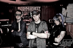 Evolution_of_BodyHarvest_2012_01_27